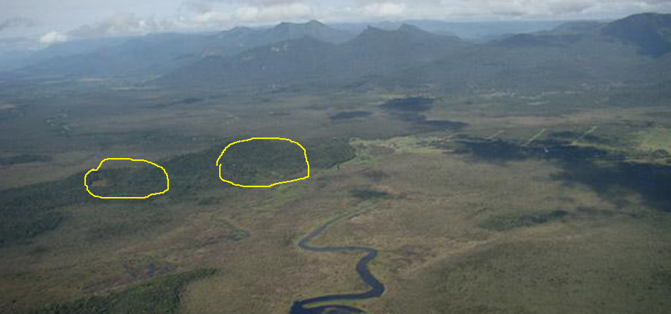Imagem aérea de áreas úmidas na APA de Guaratuba. Em amarelo, a Reserva Bicudinho-do-brejo, adquirida e mantida por cinco associados do Mater Natura.