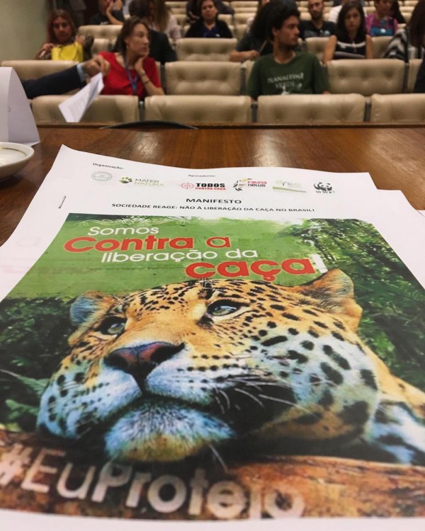 Os bons avanços na luta contra a liberação da caça no Brasil