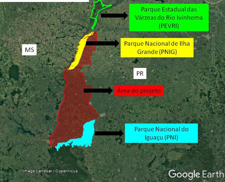 Área de abrangência do projeto do Plano de Restauração da mata atlântica na Ecorregião do Alto Paraná (PN de Ilha Grande – PN do Iguaçu).