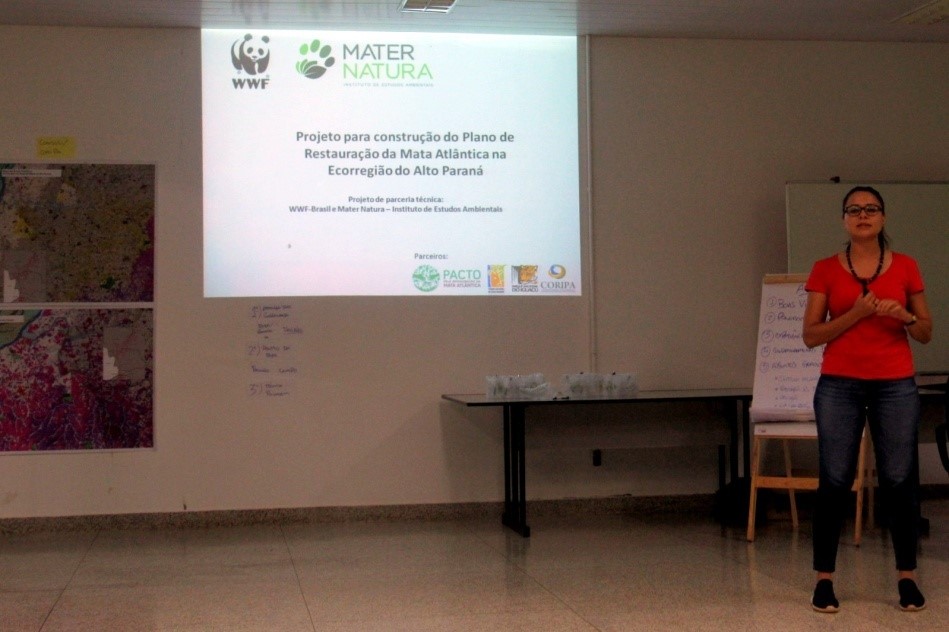Letícia Araujo durante apresentação do projeto em parceria entre o Mater Natura e o WWF-Brasil.
