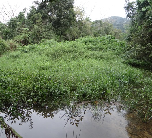 Figura 1. Banhado Santo Antônio, local objeto de planejamento e implementação de uma trilha.