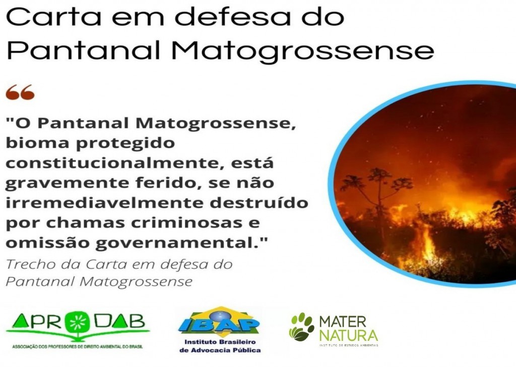 Carta aberta em defesa do Pantanal Matogrossense.
