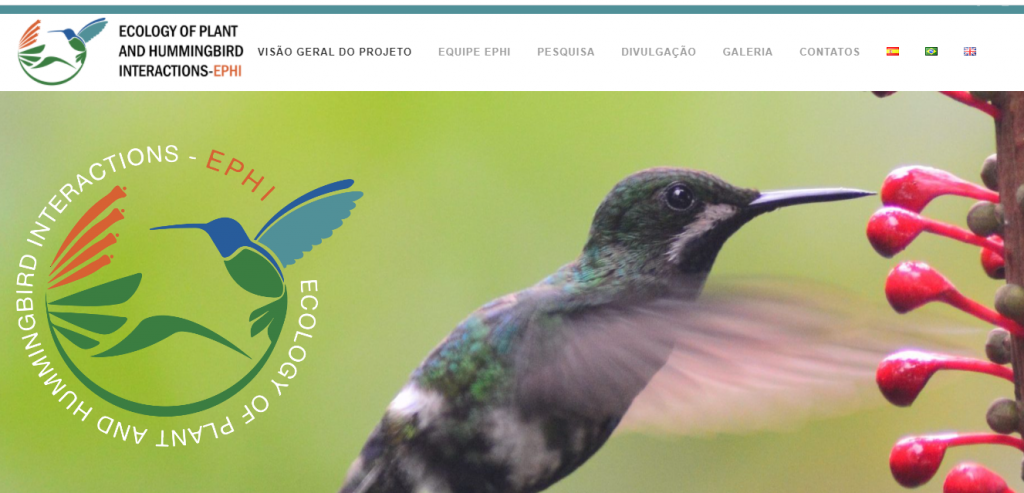 Home do site do projeto projeto Ecology of Plants and Hummingbirds Interaction (EPHI).
