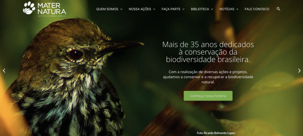 Conheça o website e as redes sociais do Mater Natura | Mater Natura