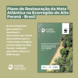 Plano de Restauração da Mata Atlântica no Alto Paraná aponta os caminhos para a restauração na região