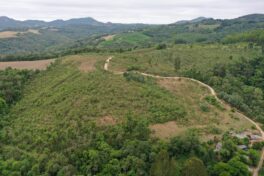 Restauração ecológica para conservação da biodiversidade e recarga hídrica na Região Metropolitana de Curitiba 