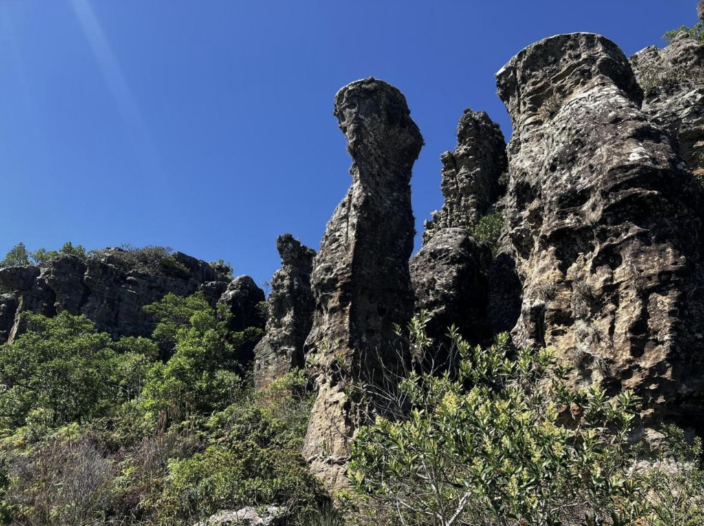 Formação Furnas - Grupo Parana