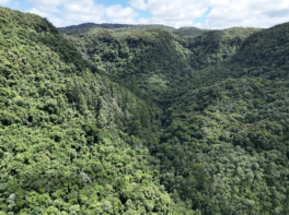 Projeto Paisagens Conversas retoma atividades de restauração ecológica