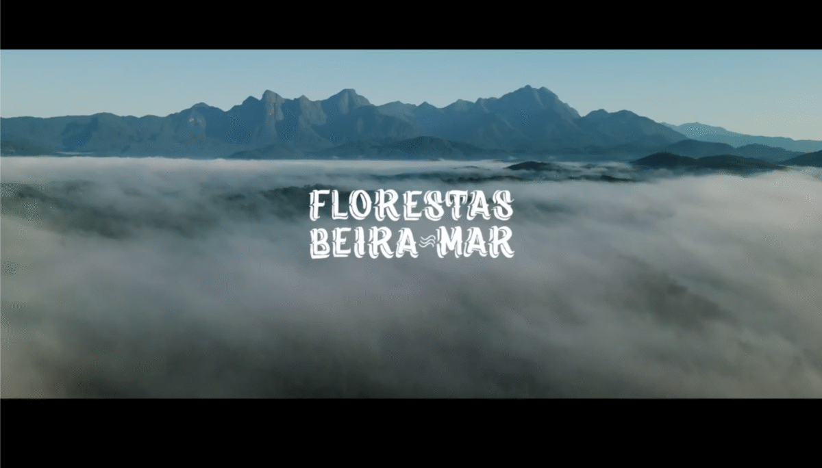 captura-de-tela-2025-06-02-as-17-21-10