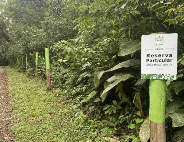 Projeto conclui etapa com avanços na gestão e proteção de três RPPNs no litoral do Paraná