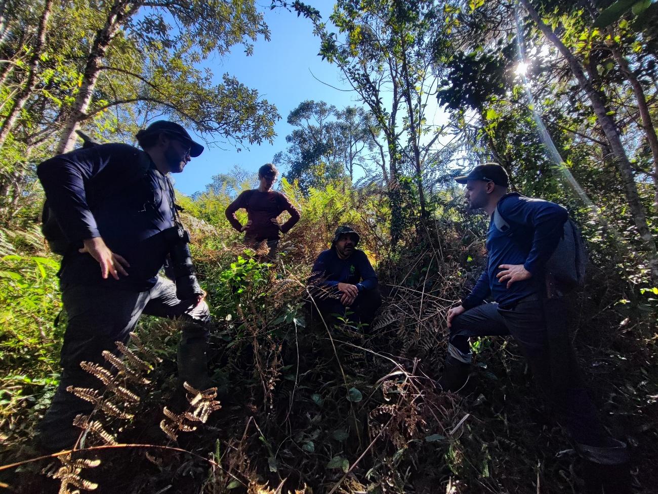 Pessoas na floresta

O conteúdo gerado por IA pode estar incorreto.