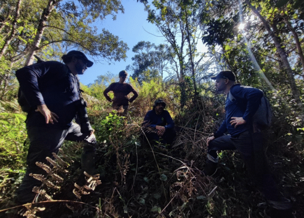 Projeto inicia fase de restauração ecológica da Mata Atlântica em Santa Catarina