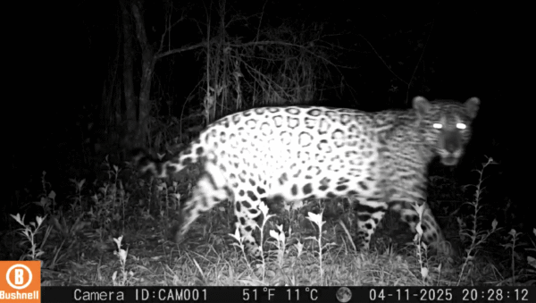 Captura de Tela 2025-09-25 às 18.42.17