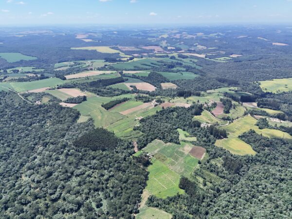 Elos da Mata Atlântica: novo projeto inicia ações de restauração no sudeste do Paraná
