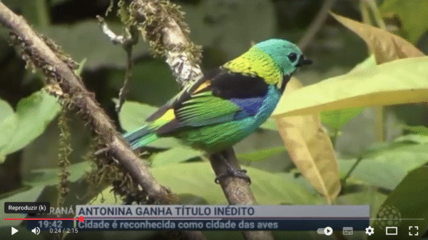 Captura de Tela 2025-10-07 às 16.34.37