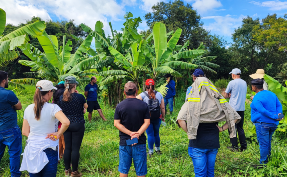 Capacitação em agrofloresta fortalece comunidades e restauração ecológica no Paraná