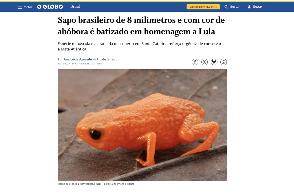 O Globo - Lulai