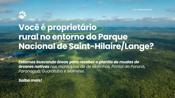Propriedades no entorno do Parque Nacional de Saint-Hilaire/Lange poderão receber plantio de mudas gratuitamente