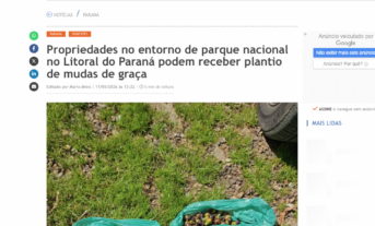 reportagem_bem_parana_mater_natura