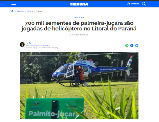 captura-de-tela-2026-06-20-110632