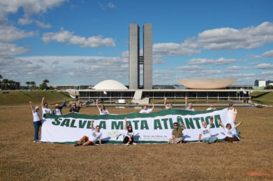 Mater Natura participa de agenda política da Rede de ONGs da Mata Atlântica em Brasília durante a Semana da Mata Atlântica