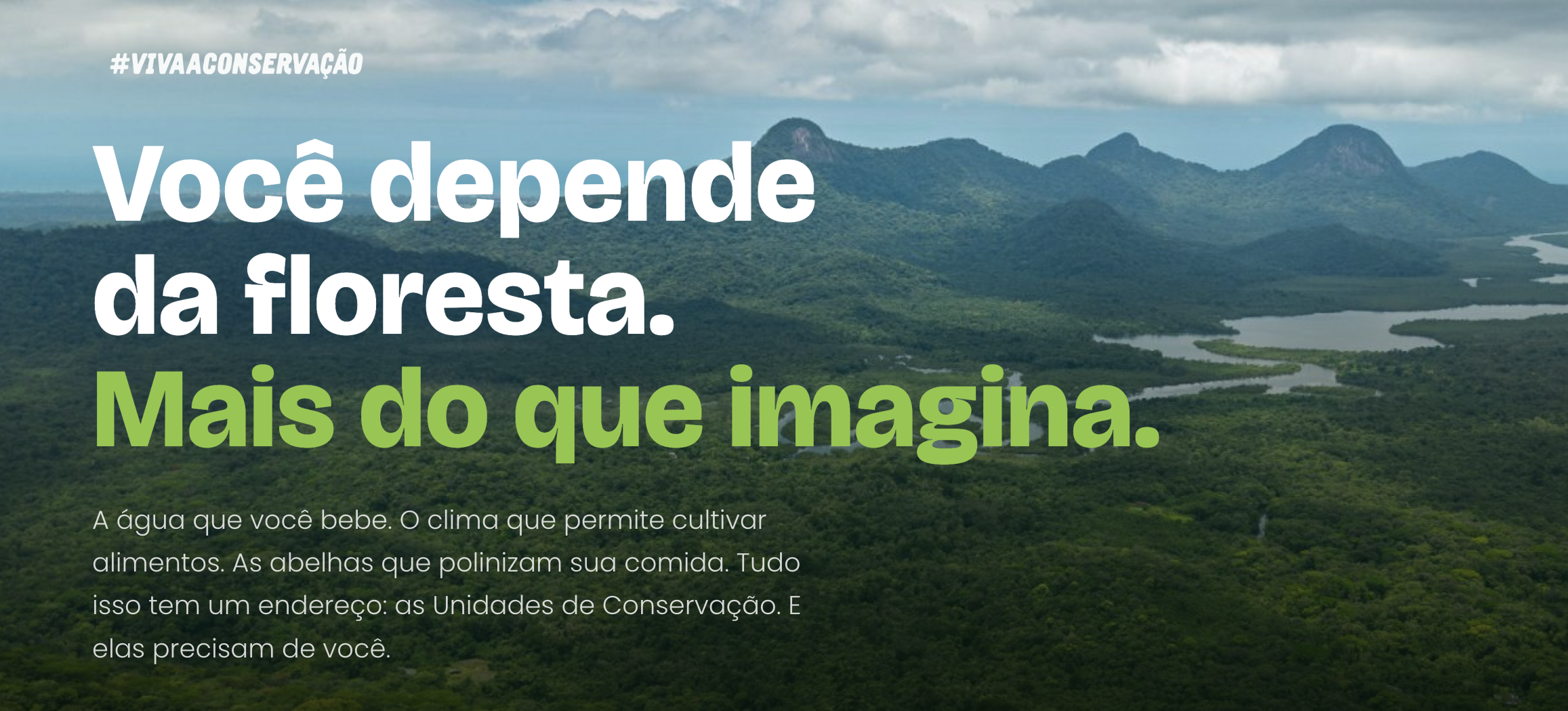 captura-de-tela-2026-07-30-as-11-46-33
