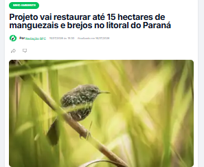 captura-de-tela-2026-08-03-214453