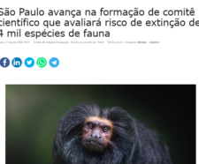 captura-de-tela-2026-09-11-100315